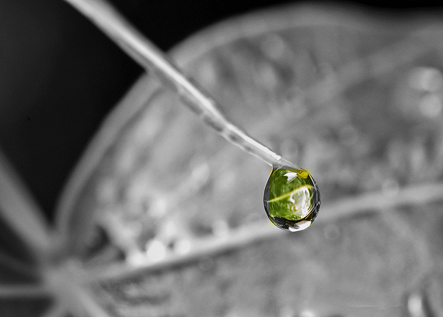 Water Drop